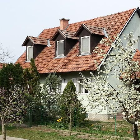 Gyula-Tanya Vendeghaz Villa Csongrád Exteriör bild