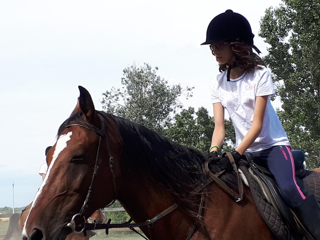 Gyula-Tanya Vendeghaz Villa Csongrád Exteriör bild